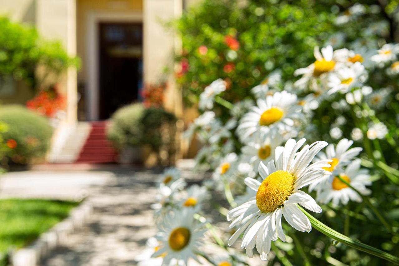 Hotel Villa Elisa & Spa Бордігера Екстер'єр фото
