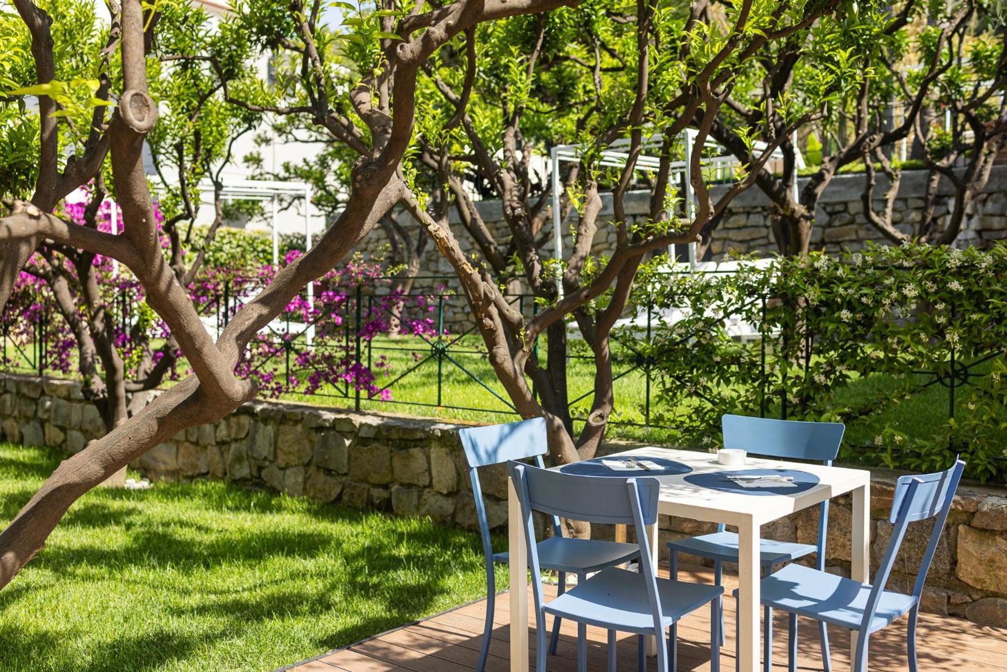 Hotel Villa Elisa & Spa Бордігера Екстер'єр фото
